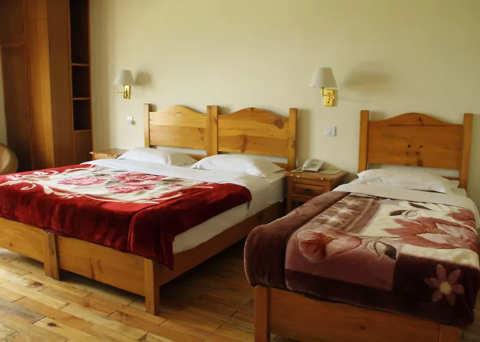 Hotel Holy Himalaya 3*